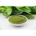 Wholesales Factory Price Organic Spinach Juice Powder